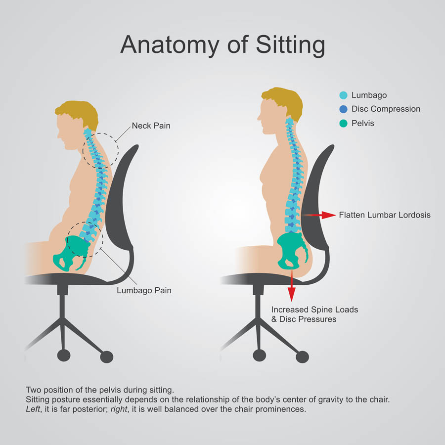 The Importance of Ergonomics in the Office - AIM Physio & Eastside